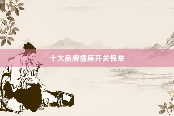 十大品牌插座开关保举